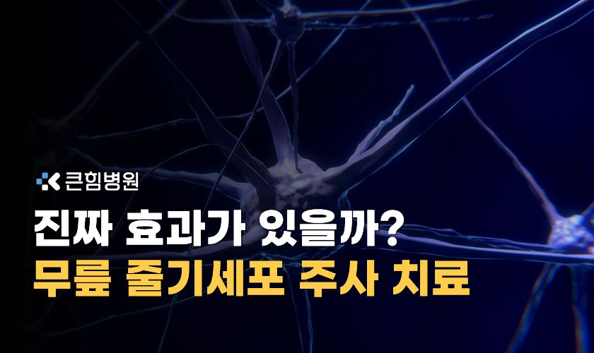무릎 줄기세포 주사 치료 진짜 효과가 있을까?